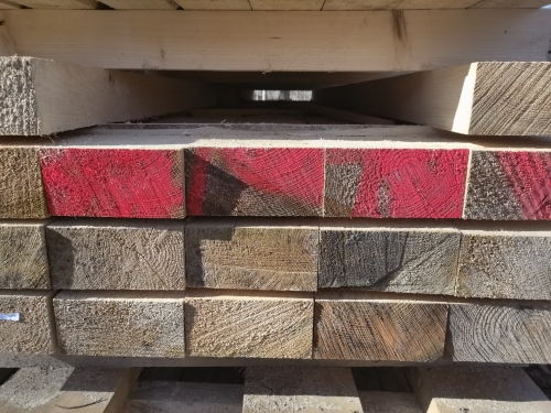 Fichte 10x20x500