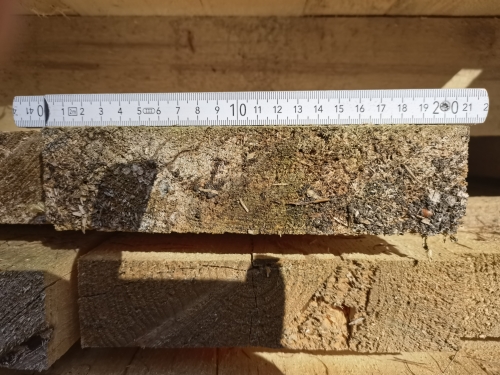 Fichte 20x4x600