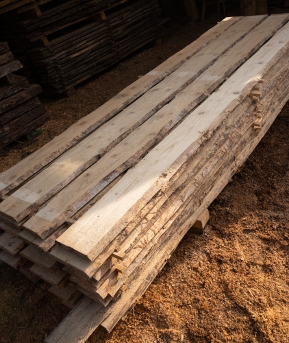 Fichte 14-24x2,3x250
