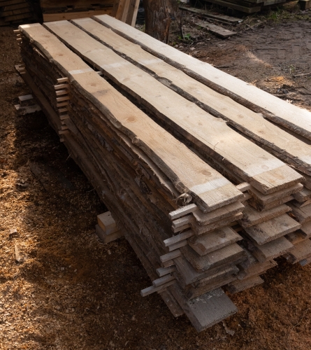 Fichte 14-24x2,3x500