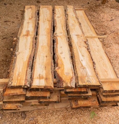 Lärche unbesäumte Bretter, Schwartenbretter, Zaun 14-25x2,3x300cm versandkostenfrei innerhalb Deutschland