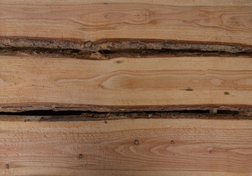 Lärche unbesäumte Bretter, Schwartenbretter, Zaun 20-30x2,3x300cm versandkostenfrei innerhalb Deutschland