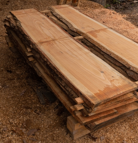 Lärche unbesäumte Bretter, Schwartenbretter, Zaun 27-40x2,3x200cm versandkostenfrei innerhalb Deutschland