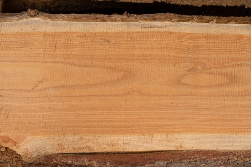 Lärche unbesäumte Bretter, Schwartenbretter, Zaun 27-40x2,3x200cm versandkostenfrei innerhalb Deutschland