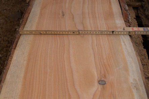 Lärche unbesäumte Bretter, Schwartenbretter, Zaun 27-40x2,3x200cm versandkostenfrei innerhalb Deutschland