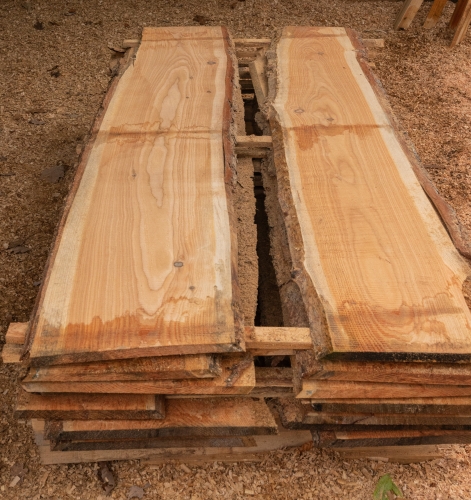 Lärche unbesäumte Bretter, Schwartenbretter, Zaun 27-40x2,3x400cm versandkostenfrei innerhalb Deutschland