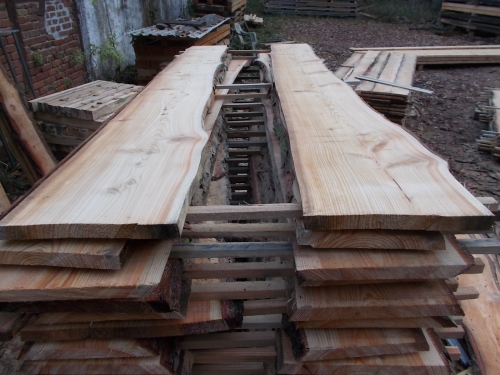 Lärche unbesäumte Bretter, Schwartenbretter, Zaun 27-40x2,8x300cm versandkostenfrei innerhalb Deutschland