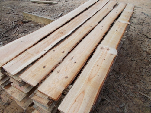 Douglasie unbesäumte Bretter, Schwartenbretter, Zaun 14-25x2,3x200cm versandkostenfrei innerhalb Deutschland