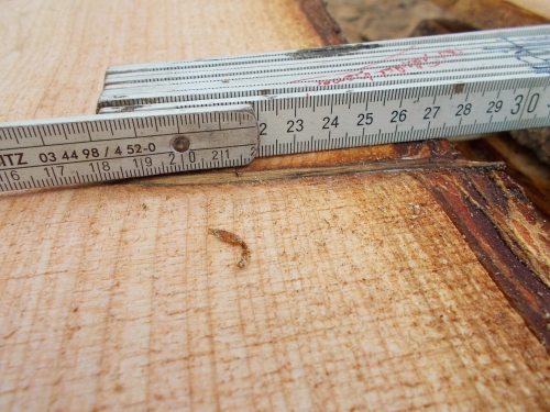 Douglasie unbesäumte Bretter, Schwartenbretter, Zaun 20-30x2,3x200cm versandkostenfrei innerhalb Deutschland