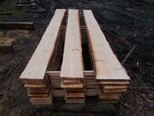 Douglasie unbesäumte Bretter, Schwartenbretter, Zaun 20-30x2,3x400cm versandkostenfrei innerhalb Deutschland