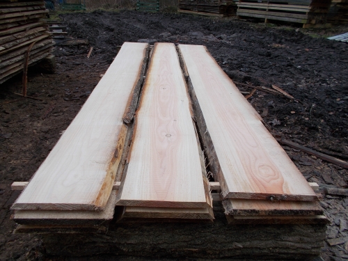 Douglasie unbesäumte Bretter, Schwartenbretter, Zaun 27-40x2,3x400cm versandkostenfrei innerhalb Deutschland