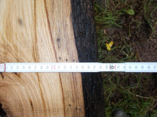 Eiche Wildeiche Sonderposten #616 Tischplatte Theke River-Table Epoxid 35-40x5x200cm