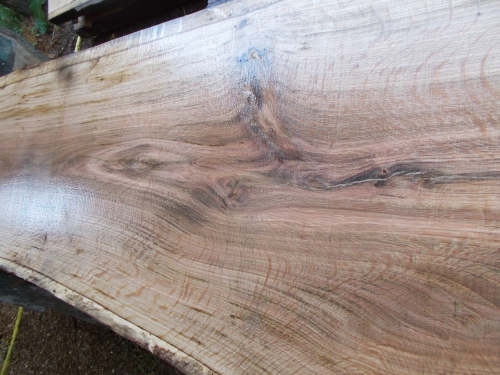 Eiche Wildeiche Sonderposten #647 Tischplatte Theke River-Table Epoxid 40-45x5x200cm
