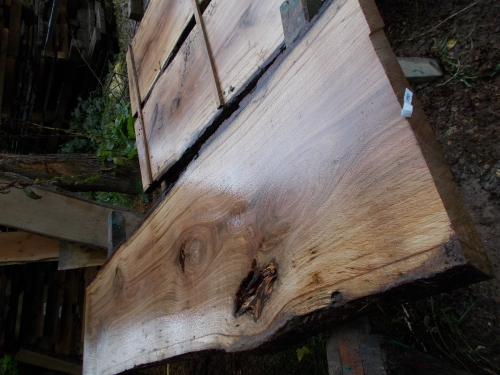 Eiche Wildeiche Sonderposten #648 Tischplatte Theke River-Table Epoxid 40-45x5x200cm