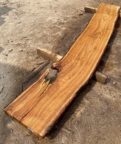 Eiche Sonderposten #596 Wurm Tischplatte Theke River-Table Epoxid 45-50x5x299cm