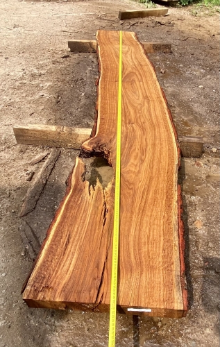 Eiche Sonderposten #596 Wurm Tischplatte Theke River-Table Epoxid 45-50x5x299cm