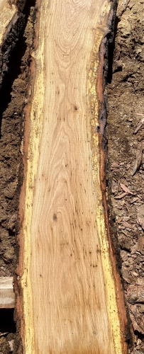 Eiche Wildeiche Sonderposten #700 Tischplatte Theke River-Table Epoxid 45-50x5x266,50cm