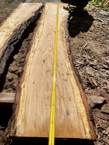 Eiche Wildeiche Sonderposten #700 Tischplatte Theke River-Table Epoxid 45-50x5x266,50cm