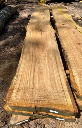 Eiche Wildeiche Sonderposten #716 Tischplatte Theke River-Table Epoxid 45-50x5x347cm