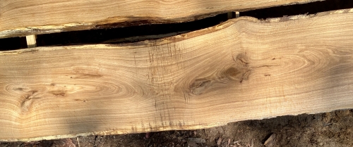 Eiche Wildeiche Sonderposten #716 Tischplatte Theke River-Table Epoxid 45-50x5x347cm