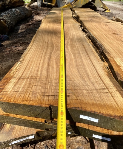 Eiche Wildeiche Sonderposten #716 Tischplatte Theke River-Table Epoxid 45-50x5x347cm