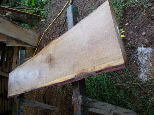 Eiche Wildeiche Sonderposten #625 Tischplatte Theke River-Table Epoxid 30-35x5x200cm