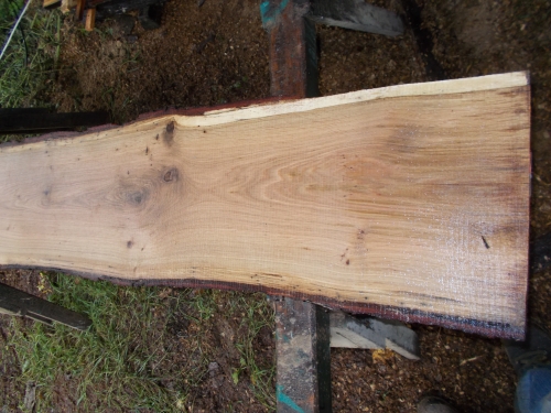 Eiche Wildeiche Sonderposten #626 Tischplatte Theke River-Table Epoxid 25-30x5x200cm