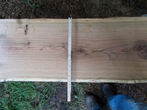 Eiche Wildeiche Sonderposten #630 Tischplatte Theke River-Table Epoxid 30-35x5x200cm