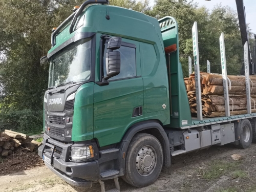 40RM Brennholz Schwarten Sägewerksabfälle Kaminholz LKW-Ladung inkl. Lieferung bis 50km Entfernung