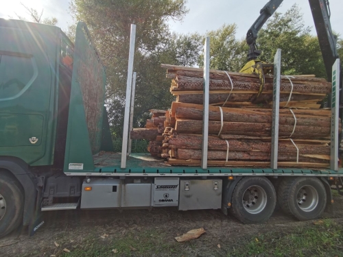 40RM Brennholz Schwarten Sägewerksabfälle Kaminholz LKW-Ladung inkl. Lieferung bis 50km Entfernung