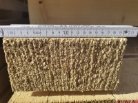 Fichte 10x20x500