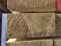 Fichte 10x20x600