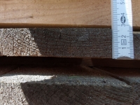 Fichte 12x2,8x300