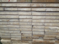 Fichte 16x2,8x500