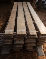 Fichte 14-24x2,3x300