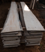Fichte 27-40x2,3x250