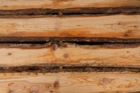 Lärche unbesäumte Bretter, Schwartenbretter, Zaun 14-25x2,3x250cm versandkostenfrei innerhalb Deutschland