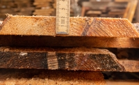 Lärche unbesäumte Bretter, Schwartenbretter, Zaun 14-25x2,3x250cm versandkostenfrei innerhalb Deutschland