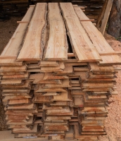 Lärche unbesäumte Bretter, Schwartenbretter, Zaun 20-30x2,3x200cm versandkostenfrei innerhalb Deutschland