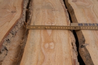 Lärche unbesäumte Bretter, Schwartenbretter, Zaun 20-30x2,3x250cm versandkostenfrei innerhalb Deutschland