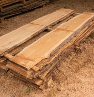 Lärche unbesäumte Bretter, Schwartenbretter, Zaun 27-40x2,3x200cm versandkostenfrei innerhalb Deutschland