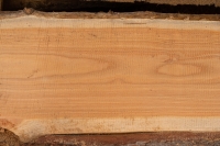 Lärche unbesäumte Bretter, Schwartenbretter, Zaun 27-40x2,3x200cm versandkostenfrei innerhalb Deutschland