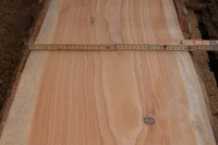 Lärche unbesäumte Bretter, Schwartenbretter, Zaun 27-40x2,3x200cm versandkostenfrei innerhalb Deutschland