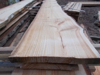 Lärche unbesäumte Bretter, Schwartenbretter, Zaun 27-40x2,8x300cm versandkostenfrei innerhalb Deutschland