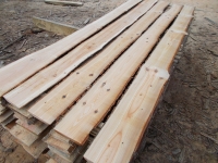 Douglasie unbesäumte Bretter, Schwartenbretter, Zaun 14-25x2,3x200cm versandkostenfrei innerhalb Deutschland