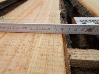 Douglasie unbesäumte Bretter, Schwartenbretter, Zaun 14-25x2,3x200cm versandkostenfrei innerhalb Deutschland