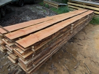 Douglasie unbesäumte Bretter, Schwartenbretter, Zaun 20-30x2,3x200cm versandkostenfrei innerhalb Deutschland