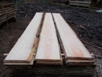 Douglasie unbesäumte Bretter, Schwartenbretter, Zaun 27-40x2,3x400cm versandkostenfrei innerhalb Deutschland