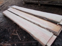 Douglasie unbesäumte Bretter, Schwartenbretter, Zaun 27-40x2,3x400cm versandkostenfrei innerhalb Deutschland