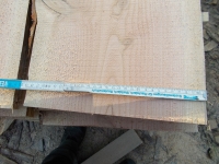 Douglasie unbesäumte Bretter, Schwartenbretter, Zaun 27-40x2,3x400cm versandkostenfrei innerhalb Deutschland